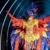 "The Masked Singer Brasil": Helga Nemetik é a atriz por trás da fantasia de arara