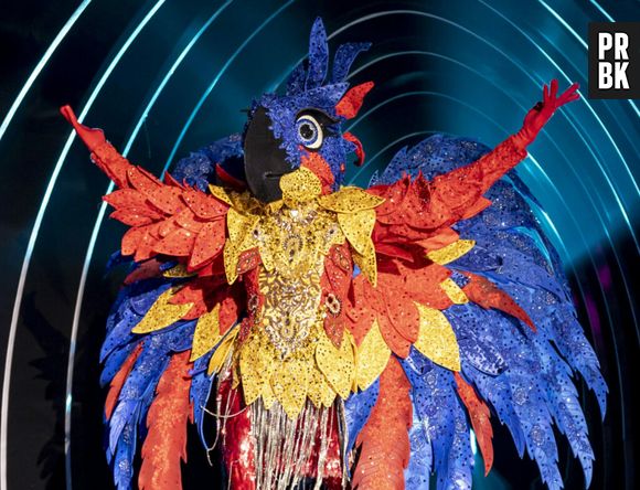 "The Masked Singer Brasil": Helga Nemetik é a atriz por trás da fantasia de arara