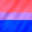 A bissexualidade se opõe ao que chamamos de binariedade, podendo sentir atração por todos os gêneros ou sexos