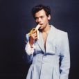 Zombando das críticas feitas por conservadores à capa da Vogue estrelada por ele, Harry Styles postou essa foto com a legenda: "Tragam de volta homens virís"