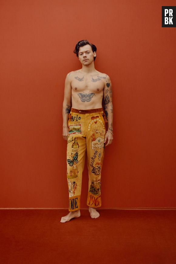 O ensaio para a Vogue rendeu uma grande polêmica para Harry Styles, já que muitos conservadores criticaram a sua subversividade para padrões de gênero