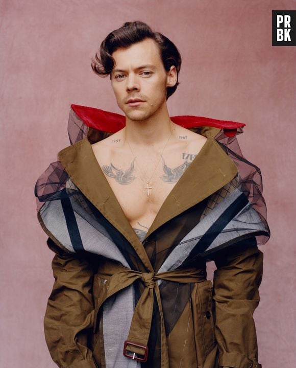 Harry Styles fez sucesso na internet com as fotos do seu ensaio para a Vogue USA