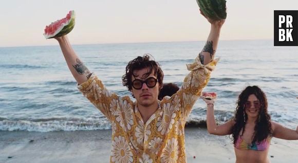 "Watermelon Sugar" também fala sobre orgasmo feminino, confirma Harry Styles