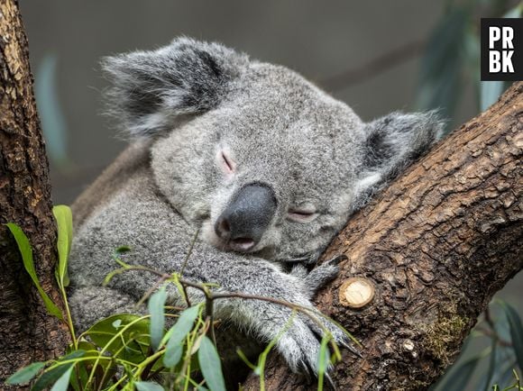 A qualidade do sono também pode ser aprimorada pela prática constante de exercícios físicos, já que o gasto de energia nos faz ficar cansados