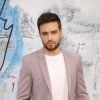 Em junho, Liam Payne havia dito que visitaria o Brasil final do ano