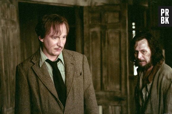 Gary Oldman foi escalado para interpretar Sirius Black em "Harry Potter e o Prisioneiro de Azkaban" após ter sido acusado de agredir sua ex-esposa Donya Fiorentino na frente dos seus dois filhos em 2001