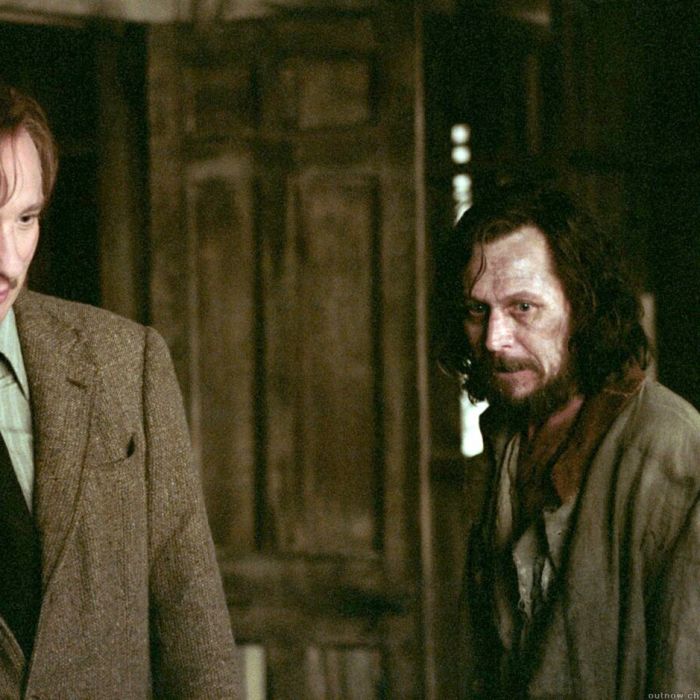 Gary Oldman foi escalado para interpretar Sirius Black em &quot;Harry Potter e o Prisioneiro de Azkaban&quot; após ter sido acusado de agredir sua ex-esposa Donya Fiorentino na frente dos seus dois filhos em 2001