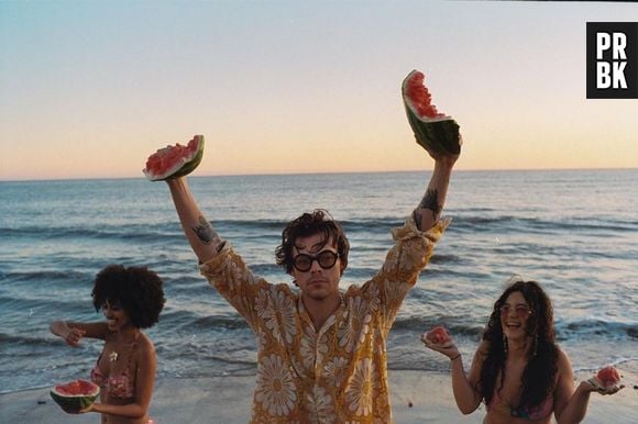 Aniversário do Harry Styles: descubra com apenas um detalhe qual o clipe do cantor neste quiz!