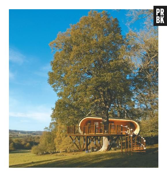 E essa casa da árvore na Inglaterra, como aquelas de filme que toda criança deseja