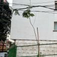"A Mulher da Casa Abandonada": Chico Felitti registrou parte da vizinhança onde fica a mansão abandonada