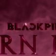 "BORN PINK": BLACKPINK anunciou datas do comeback no último domingo (31)