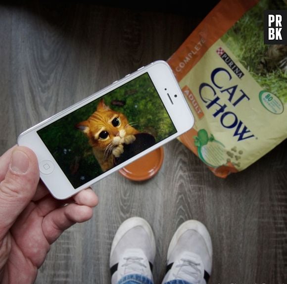 E a fofura do "Gato de Botas" pedindo comida perto da ração