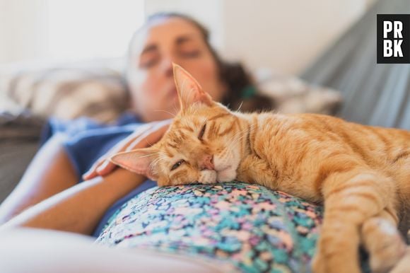 Descubra qual é a melhor hora para ir dormir de acordo com a ciência do sono (e a quantidade de horas recomendadas)