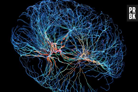 Estudos afirmam: o contato com certos odores durante o sono pode incrementar grandemente a atividade cognitiva