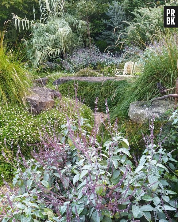 Íñigo Segurola tem paraíso vegetal aberto a visitações no País Basco