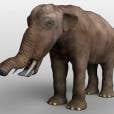  "Platybelodon" &eacute; parente antigo do elefante e viveu h&aacute; mais 25 milh&otilde;es de anos! 