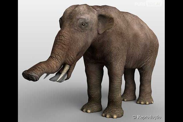"Platybelodon" &eacute; parente antigo do elefante e viveu h&aacute; mais 25 milh&otilde;es de anos!