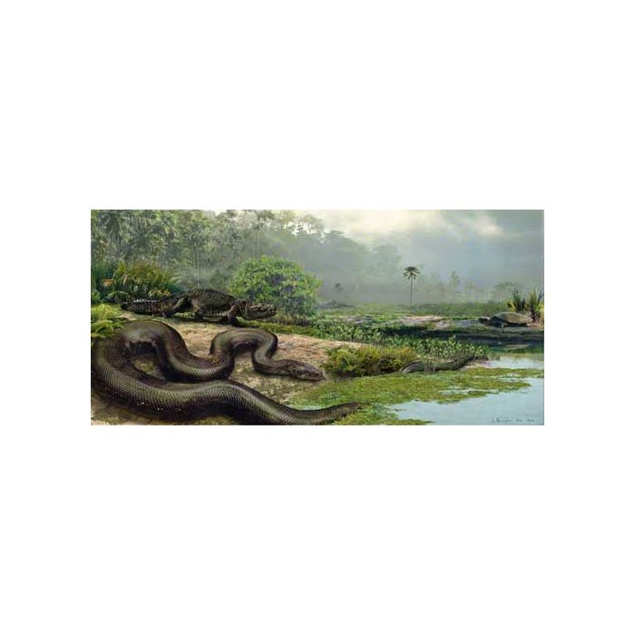  Parece que a &quot;Titanoboa cerrejonensis&quot; foi umas das maiores serpentes que j&amp;aacute; existiu. Com cerca de 13 mestros, vivia na Am&amp;eacute;rica do Sul h&amp;aacute; 60 milh&amp;otilde;es de anos 