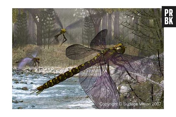 "Meganeura" viveu cerca de 300 milhões de anos atrás e possuia 75cm de largura!