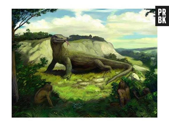 O "Megalania" é parente do Dragão de Komodo e chegava a medir oito metros de comprimento