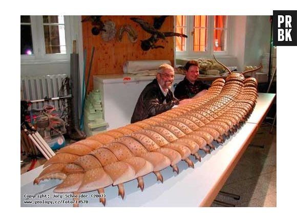 A "Arthorpleura" foi um inseto com cerca de 2,6 metros. Vamos combinar que pra uma espécie de centopeia isso é assutador!