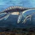  O "Plesiossauro" era um r&eacute;ptil marinho que vivia na Ant&aacute;rtida 