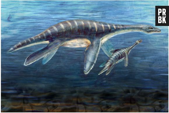 O "Plesiossauro" era um réptil marinho que vivia na Antártida