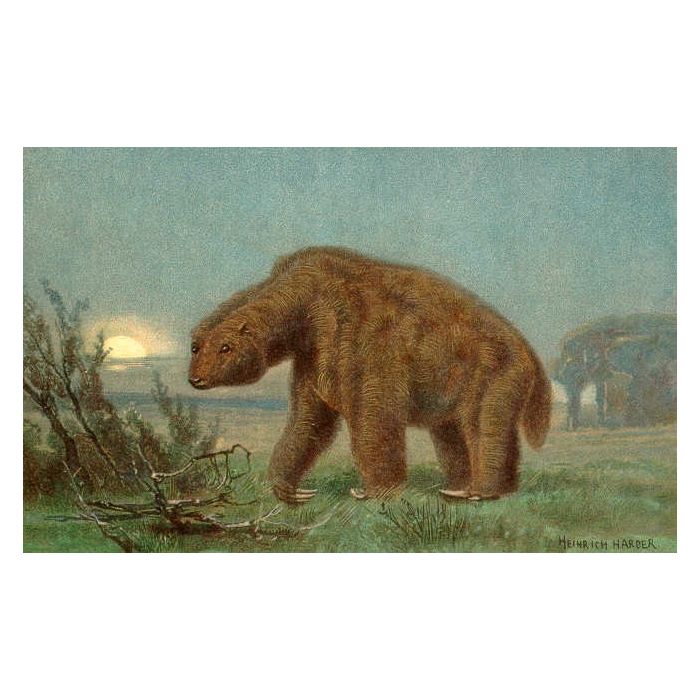  O significado de &quot;Megatherium&quot; &amp;eacute; &quot;Besta gigante&quot; e ele pesava cerca de quatro toneladas 