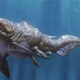  O "Dunkleosteus" ficou conhecido pela sua pele grossa. O peixe podia chegar a nove metros e comia at&eacute; tubar&otilde;es! 