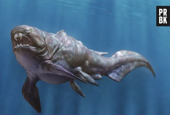 O "Dunkleosteus" ficou conhecido pela sua pele grossa. O peixe podia chegar a nove metros e comia até tubarões!