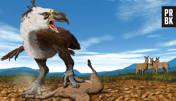 Se você acha que as aves são inofensivas, devia conhecer o "Phorusrhacos". Com 2,5 metros podia matar qualquer animal com muita facilidade.