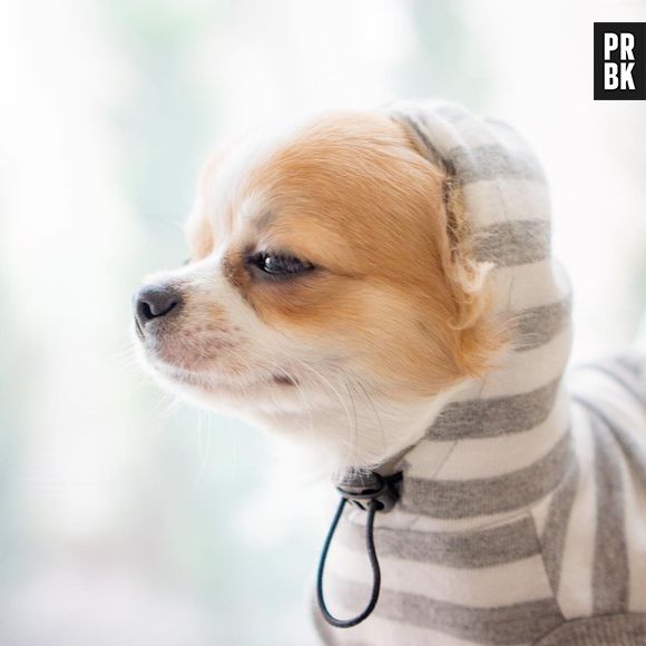 Apertem o cordãozinho do capuz, que o frio está chegando