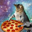 O gato é DJ, mas esse disco de pizza é o melhor!