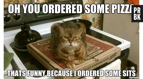 Você pediu pizza? Engraçado, porque ele pediu um lugar pra deitar em cima