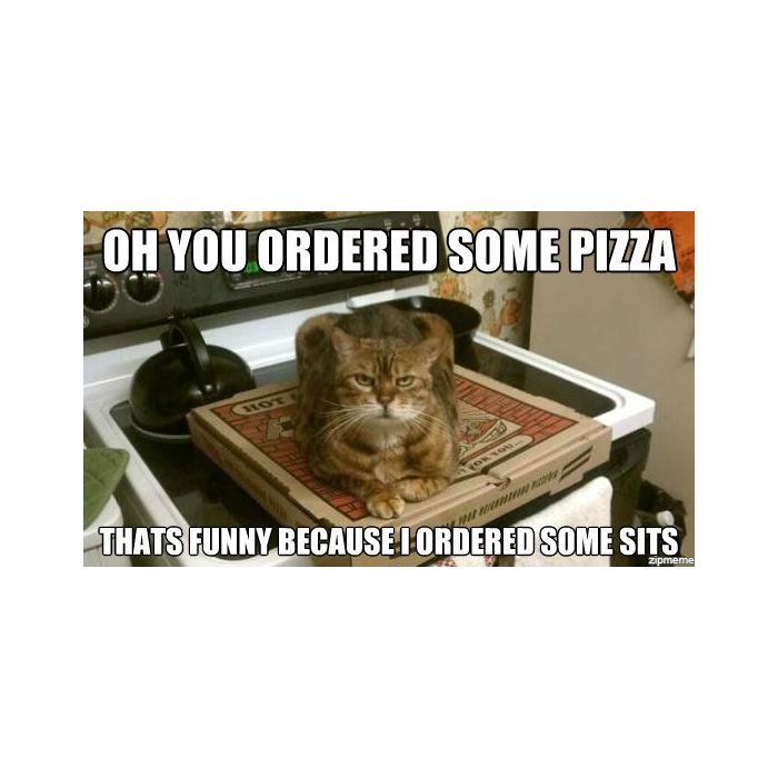 Você pediu pizza? Engraçado, porque ele pediu um lugar pra deitar em cima