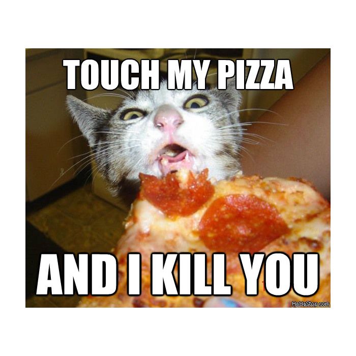 O gato não quer que ninguém encoste na pizza dele!