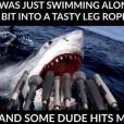 O tubarão que atacou Mick Fanning também ficou famoso, mas na verdade só queria estar nadando por aí de boas