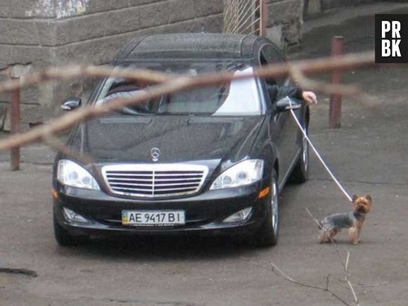 Precisa passear com o seu cachorro, mas não quer andar?