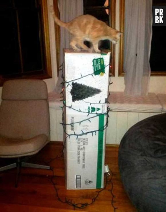 Para que montar a árvore de natal? Comprá-la basta