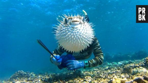 A foto ficou bem melhor com essa presença inusitada