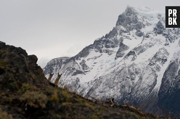 Era uma linda foto de paisagem, até que...