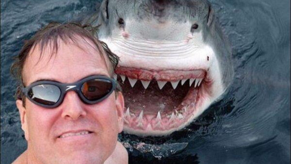 Animais de penetra nas fotos? Veja os 20 melhores photobombs protagonizados pelos bichinhos!