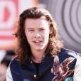 Harry Styles, do One Direction, já ganhou um absorvente de uma fã
