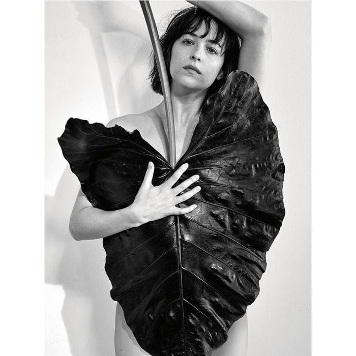 Recentemente, Dakota Johnson, de &quot;50 Tons de Cinza&quot;, tirou a roupa para a revista AnOther