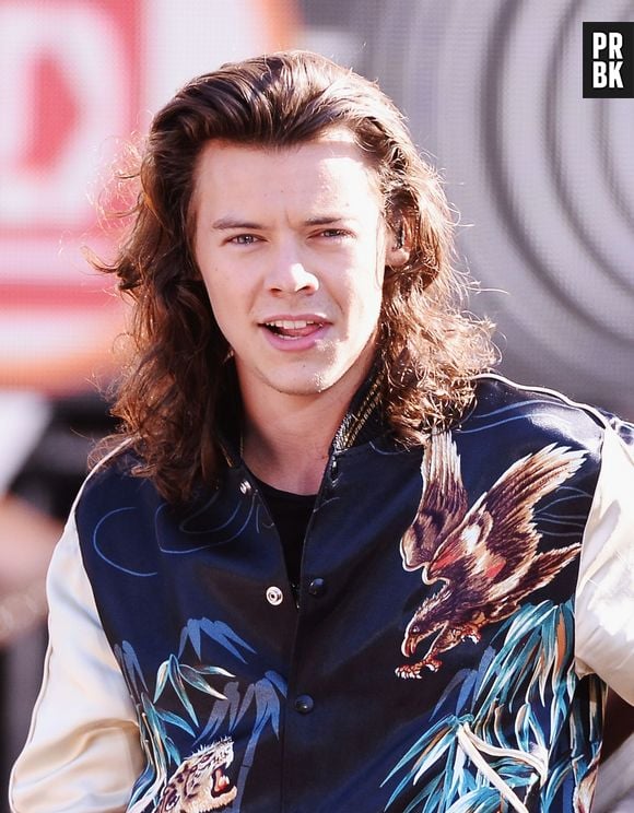 Harry Styles, do One Direction, aprontou com a sua irmã mais velha