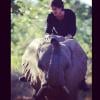 Ian Somerhalder tirou onda ao subir nas costas de um elefante!