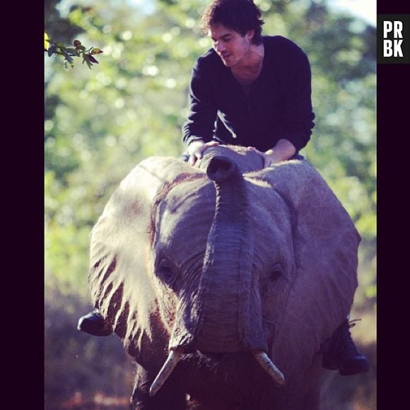 Ian Somerhalder tirou onda ao subir nas costas de um elefante!