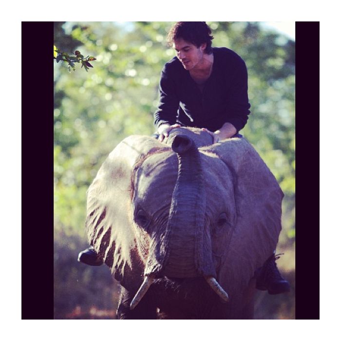 Ian Somerhalder tirou onda ao subir nas costas de um elefante!