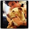 Ian Somerhalder ama seus bichinhos! Ele tem um monte de cachorros!