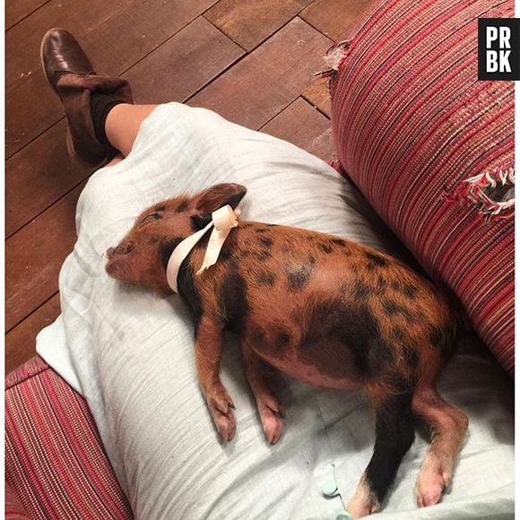 Camila Queiroz vai interpretar a caipira Mafalda, em "Êta Mundo Bom"